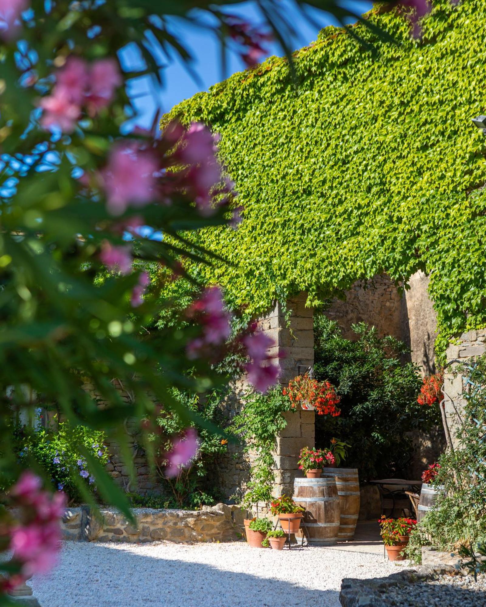 Domaine De Palats Laure-Minervois Exterior foto