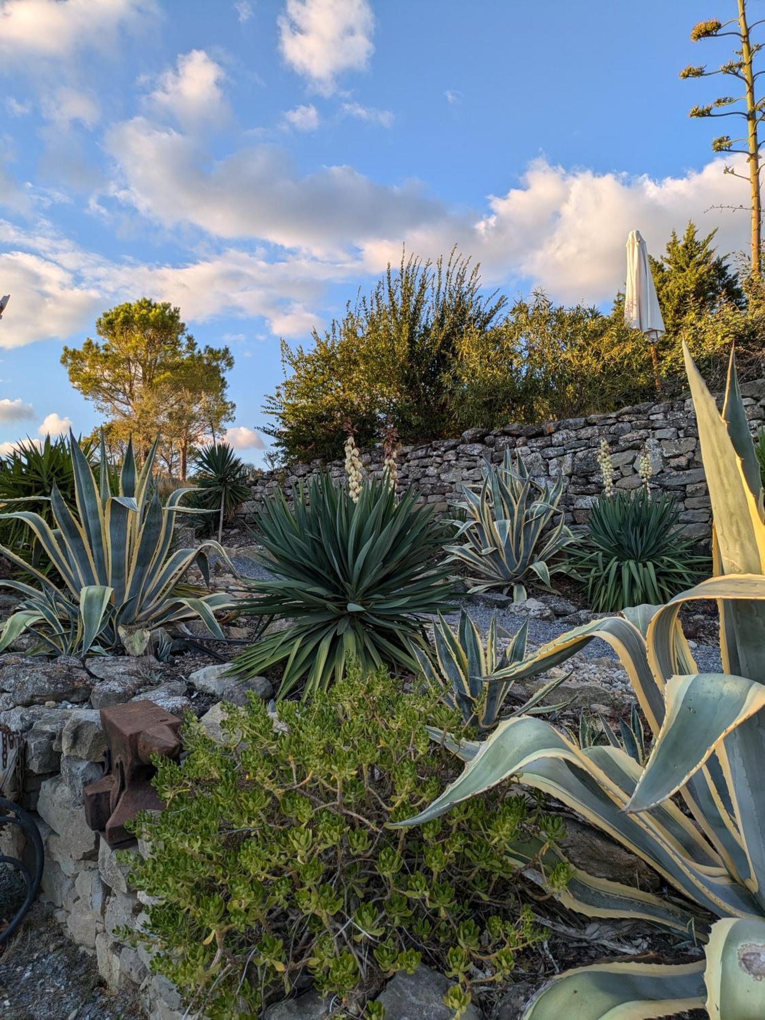 Domaine De Palats Laure-Minervois Exterior foto