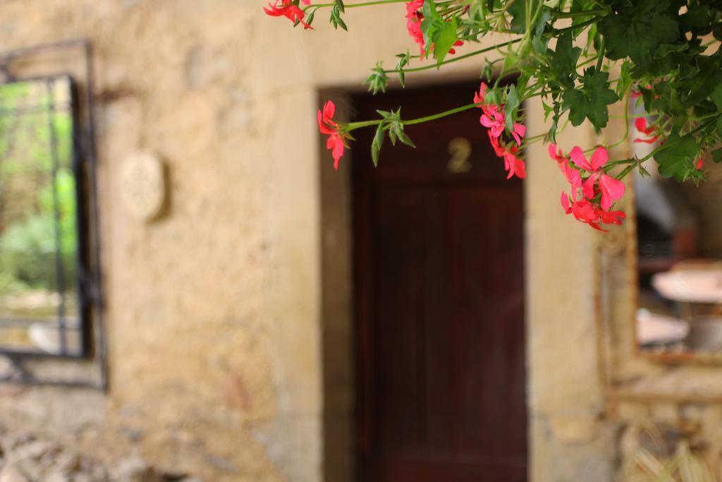 Domaine De Palats Laure-Minervois Exterior foto