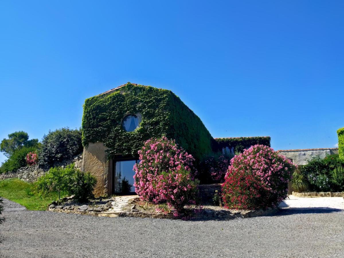 Domaine De Palats Laure-Minervois Exterior foto