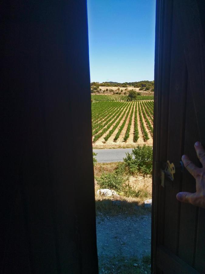 Domaine De Palats Laure-Minervois Exterior foto
